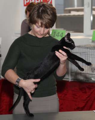 �������� ����� '������� ���-�����' 30 ������-1 ������� 2013., WCF-����� 3057